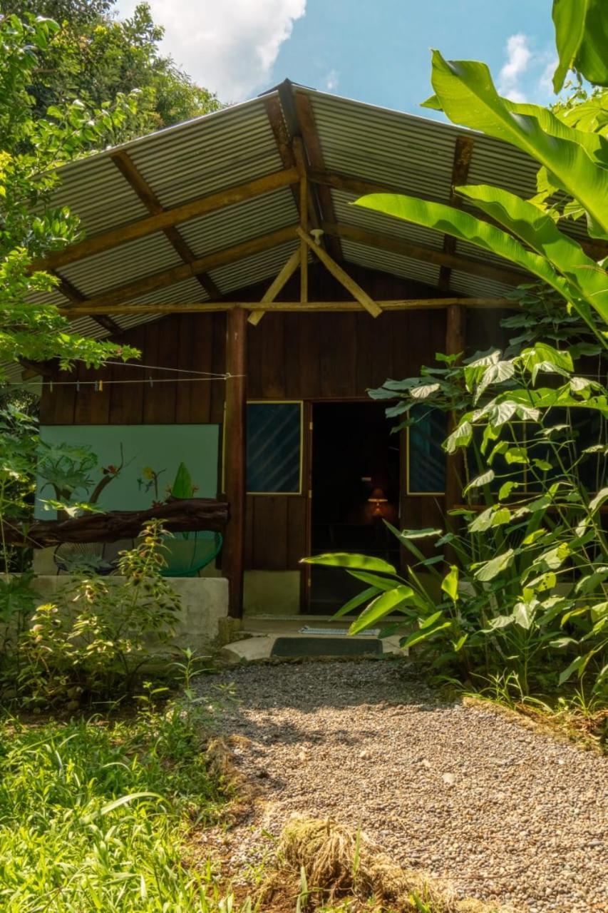 Los Paniquines Ecolodge Драке Экстерьер фото